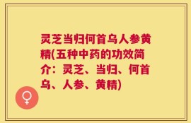 灵芝当归何首乌人参黄精(五种中药的功效简介：灵芝、当归、何首乌、人参、黄精)