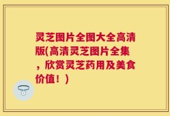 灵芝图片全图大全高清版(高清灵芝图片全集，欣赏灵芝药用及美食价值！)