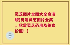 灵芝图片全图大全高清版(高清灵芝图片全集，欣赏灵芝药用及美食价值！)