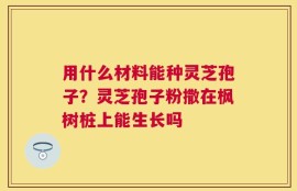 用什么材料能种灵芝孢子？灵芝孢子粉撒在枫树桩上能生长吗