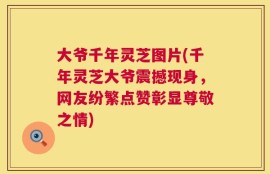 大爷千年灵芝图片(千年灵芝大爷震撼现身，网友纷繁点赞彰显尊敬之情)