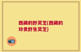西藏的野灵芝(西藏的珍贵野生灵芝)