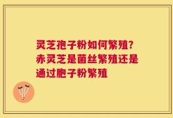 灵芝孢子粉如何繁殖？赤灵芝是菌丝繁殖还是通过胞子粉繁殖