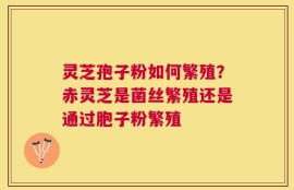 灵芝孢子粉如何繁殖？赤灵芝是菌丝繁殖还是通过胞子粉繁殖