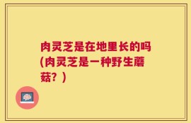 肉灵芝是在地里长的吗(肉灵芝是一种野生蘑菇？)