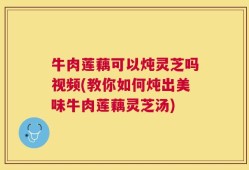 牛肉莲藕可以炖灵芝吗视频(教你如何炖出美味牛肉莲藕灵芝汤)