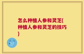 怎么种植人参和灵芝(种植人参和灵芝的技巧)