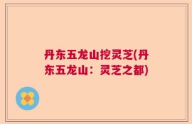 丹东五龙山挖灵芝(丹东五龙山：灵芝之都)
