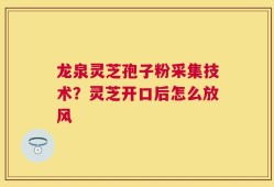 龙泉灵芝孢子粉采集技术？灵芝开口后怎么放风