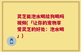 灵芝能泡水喝给狗喝吗视频(「让你的宠物享受灵芝的好处：泡水喝」)