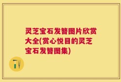 灵芝宝石发簪图片欣赏大全(赏心悦目的灵芝宝石发簪图集)