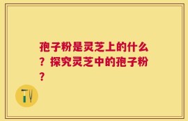 孢子粉是灵芝上的什么？探究灵芝中的孢子粉？