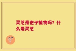灵芝是孢子植物吗？什么是灵芝