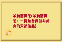 羊腩菌灵芝(羊腩菌灵芝：一份兼备保健与美食的天然佳品)