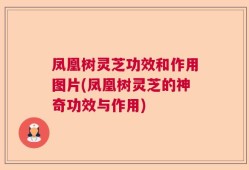 凤凰树灵芝功效和作用图片(凤凰树灵芝的神奇功效与作用)