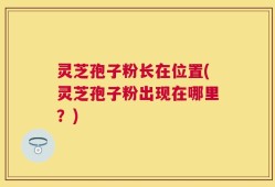 灵芝孢子粉长在位置(灵芝孢子粉出现在哪里？)