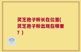 灵芝孢子粉长在位置(灵芝孢子粉出现在哪里？)