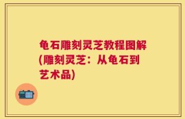 龟石雕刻灵芝教程图解(雕刻灵芝：从龟石到艺术品)