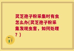 灵芝孢子粉采集时有虫怎么办(灵芝孢子粉采集发现虫害，如何处理？)