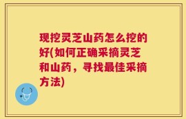 现挖灵芝山药怎么挖的好(如何正确采摘灵芝和山药，寻找最佳采摘方法)