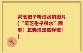 灵芝孢子粉泡水的图片(“灵芝孢子粉水”图解：正确泡法这样做！)