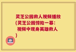 灵芝公园救人视频播放(灵芝公园惊险一幕： 视频中现身英雄救人)