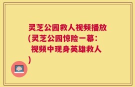 灵芝公园救人视频播放(灵芝公园惊险一幕： 视频中现身英雄救人)