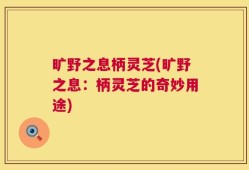 旷野之息柄灵芝(旷野之息：柄灵芝的奇妙用途)