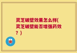 灵芝破壁效果怎么样(灵芝破壁能否增强药效？)