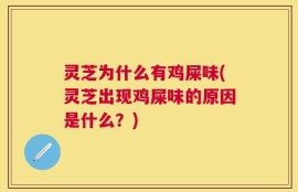 灵芝为什么有鸡屎味(灵芝出现鸡屎味的原因是什么？)