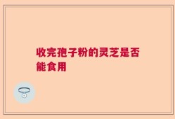 收完孢子粉的灵芝是否能食用