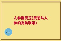 人参娶灵芝(灵芝与人参的完美联姻)
