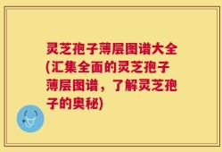 灵芝孢子薄层图谱大全(汇集全面的灵芝孢子薄层图谱，了解灵芝孢子的奥秘)