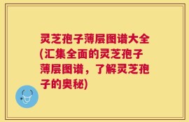 灵芝孢子薄层图谱大全(汇集全面的灵芝孢子薄层图谱，了解灵芝孢子的奥秘)