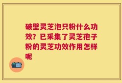 破壁灵芝泡只粉什么功效？已采集了灵芝孢子粉的灵芝功效作用怎样呢