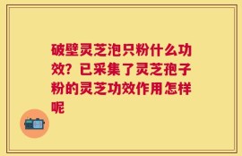 破壁灵芝泡只粉什么功效？已采集了灵芝孢子粉的灵芝功效作用怎样呢