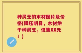 种灵芝的木材图片及价格(降压明目，木材烘干种灵芝，仅售XX元！)