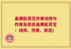 桑黄配灵芝作用功效与作用及禁忌桑黄配灵芝：功效、作用、禁忌)