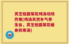 灵芝桂圆菊花炖汤功效作用(炖汤天然补气养生谷，灵芝桂圆菊花暖身抗寒汤)