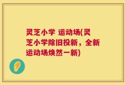 灵芝小学 运动场(灵芝小学除旧投新，全新运动场焕然一新)