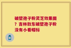 破壁孢子粉灵芝效果图？吉林敖东破壁孢子粉没有小看帽标