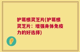 护葛根灵芝片(护葛根灵芝片：增强身体免疫力的好选择)