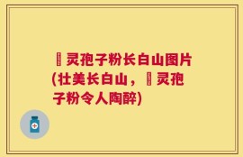 靈灵孢子粉长白山图片(壮美长白山，靈灵孢子粉令人陶醉)