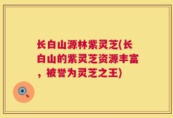 长白山源林紫灵芝(长白山的紫灵芝资源丰富，被誉为灵芝之王)
