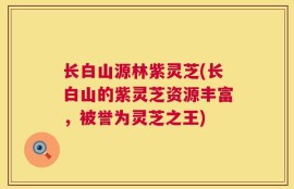 长白山源林紫灵芝(长白山的紫灵芝资源丰富，被誉为灵芝之王)