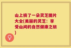 山上摘了一朵灵芝图片大全(美丽的灵芝：享受山间的自然健康之旅)
