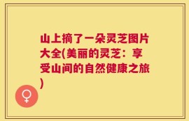 山上摘了一朵灵芝图片大全(美丽的灵芝：享受山间的自然健康之旅)