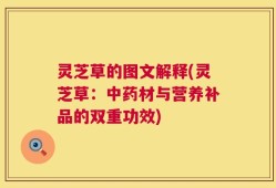 灵芝草的图文解释(灵芝草：中药材与营养补品的双重功效)