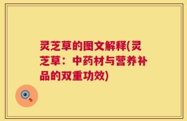 灵芝草的图文解释(灵芝草：中药材与营养补品的双重功效)