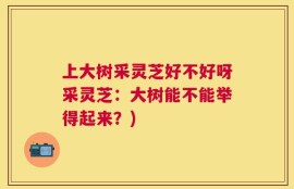 上大树采灵芝好不好呀采灵芝：大树能不能举得起来？)